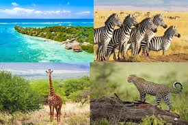Diani Beach Kenia Safari
