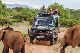Safari Companies in Kenya