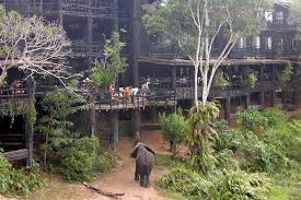 Shimba Hills National Reserve Tickets