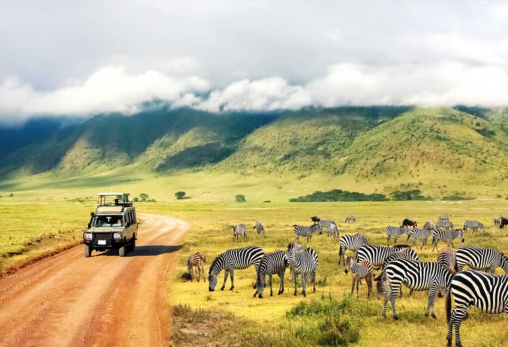 Tours and Safaris in Kenya