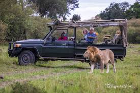 kenya and safari holidays