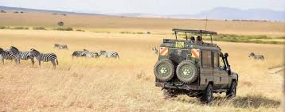 Tsavo East Safari
