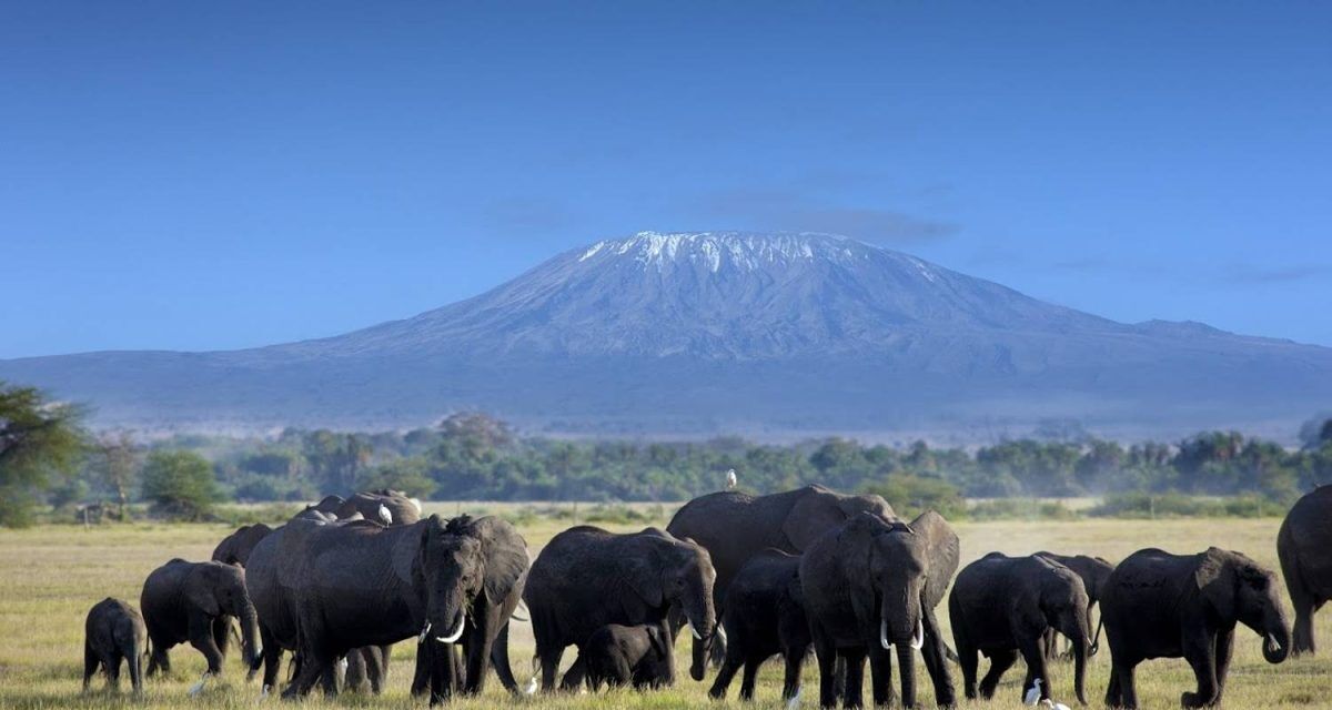 2 Days Tsavo East Safari from Mombasa
