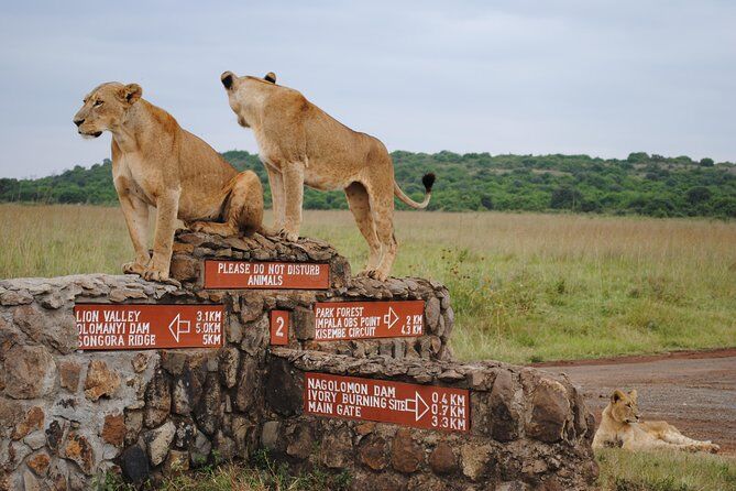 tours and safaris
