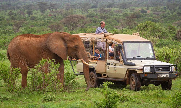 6 Days Amboseli, Tsavo West & Tsavo East Safari