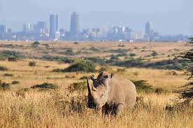 Nairobi National Park