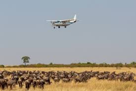 3-Day Masai Mara Safari by Flight from Mombasa