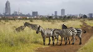 Nairobi National Park