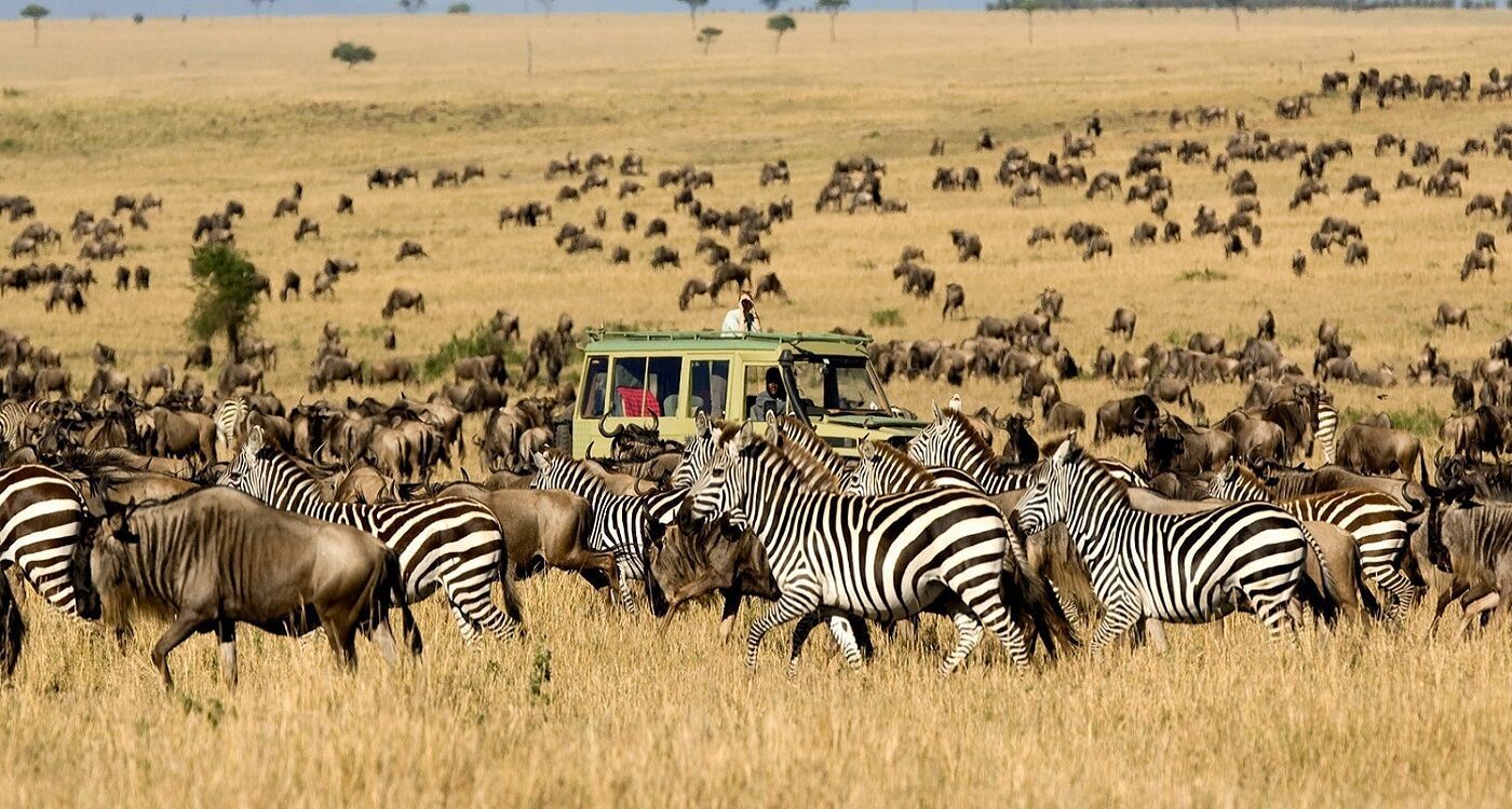 Safari Holidays in Kenya
