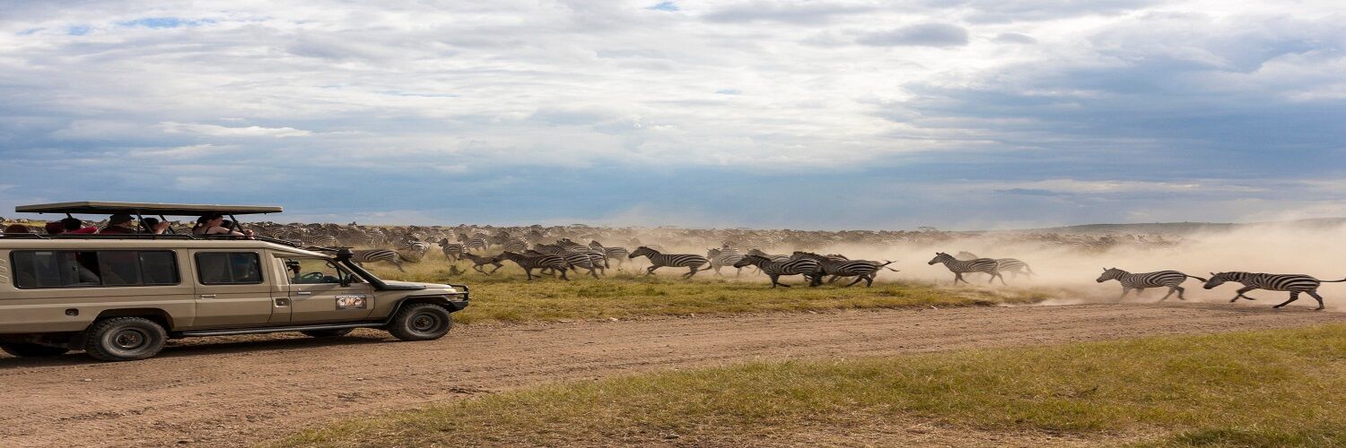 Shimba Hills Safaris from Diani